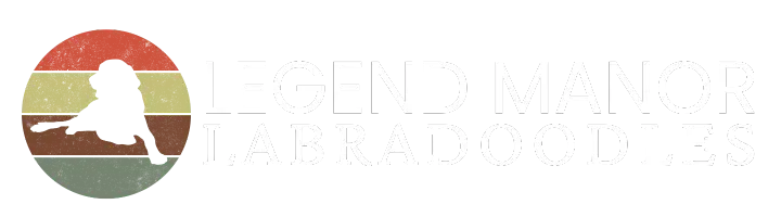 Legend Manor Labradoodles
